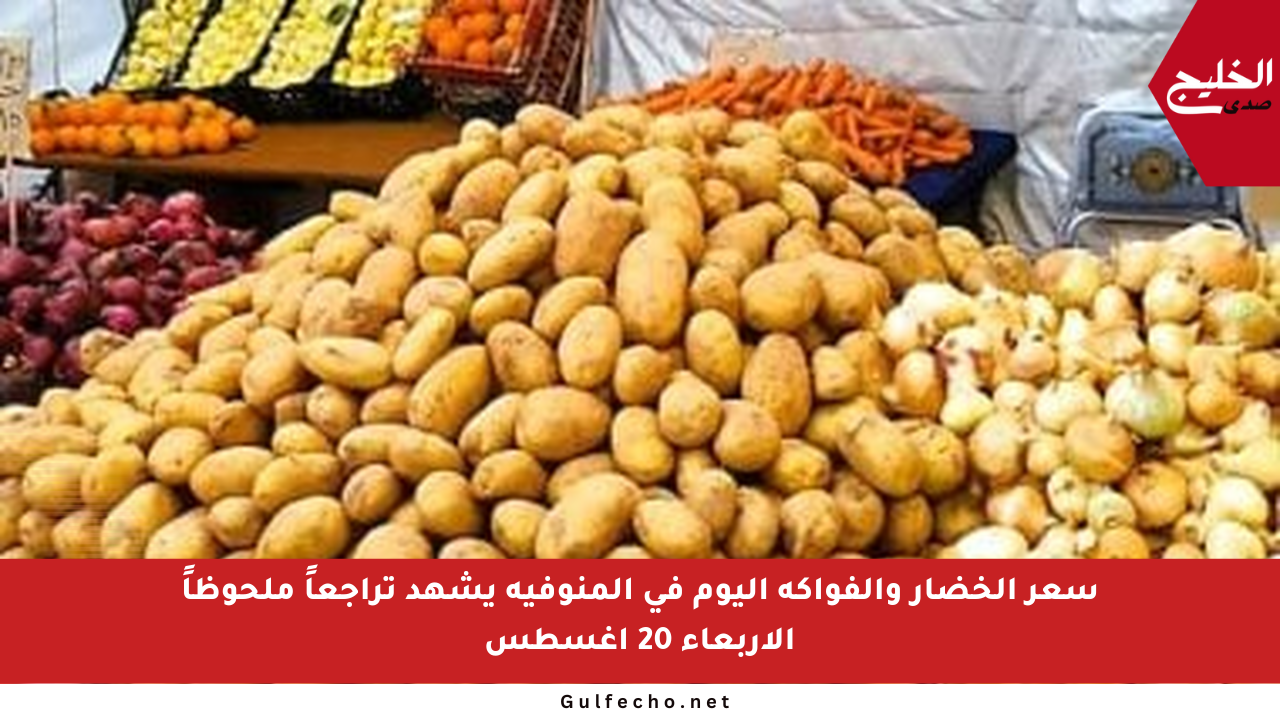 سعر الخضار والفواكه اليوم في المنوفية يشهد تراجعاً ملحوظاً الأربعاء 20 أغسطس